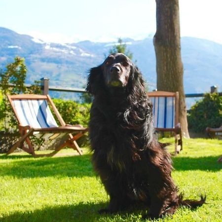 Bed & Breakfast Chez Berry Aosta Exterior foto